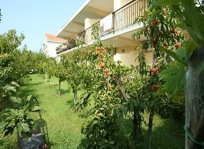 Bed And Breakfast Cirelli Scalea Ngoại thất bức ảnh