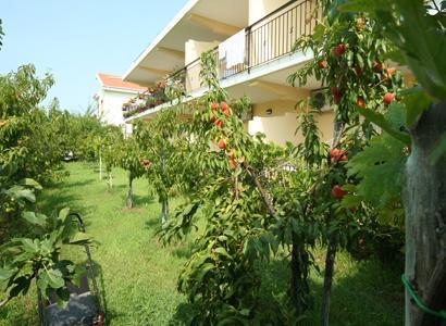 Bed And Breakfast Cirelli Scalea Ngoại thất bức ảnh